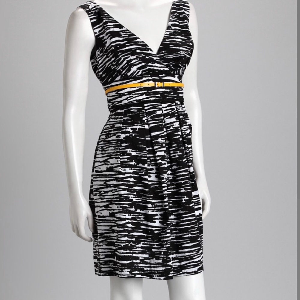 NWOT Black & White Broken Stripe Dress